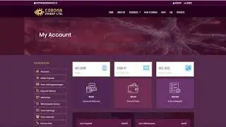 HYIP Review #3 - Hourlyex.com & Randomix.org - THE BEST HYIP PROGRAMS!