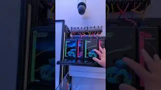 Full overview of the 650 and 250 reef system 