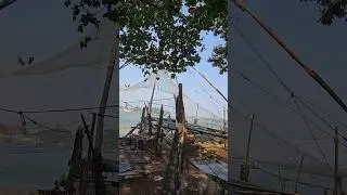 Kochi's iconic Chinese Fishing Nets (Cheena Vala) are #fishing #kochi #cochin #viralreels #bestvideo