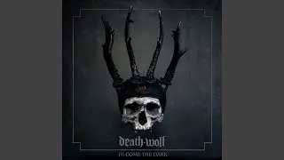 Edge of the Forest