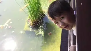 Visiting Shoseian Japanese Teahouse and Friendship Garden