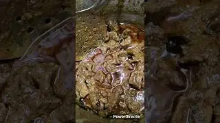&ldquo;Tasty Non Veg Gravy Recipe 😋 | Hotel Style Chicken Mutton Gravy | Easy Indian Curry&rdquo;#shotsfeed