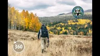 State Forest State Park in 360