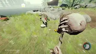The Forest Make Spears bag and hunting Boars Part 5