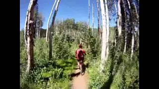 20110721-vtt