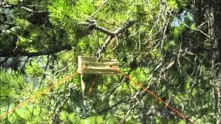 IMPROVISED LONGWIRE ANTENNA