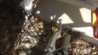 DOGS KILL DRONE  DJI Phantom