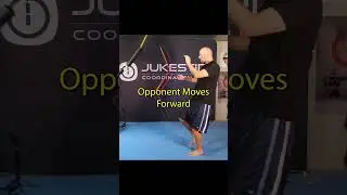 Coordination Punching Bag
