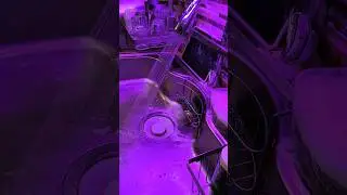 Dishwashing Zen Mode #dishwashing #cleaning #satisfying #asmr #shorts