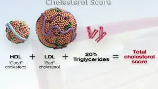 Общий уровень холестерина | Health Insiders
