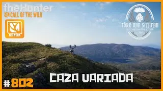 T&Ograve;RR NAN S&Igrave;THEAN - MI PRIMER PELAJE ESPECIAL - CAZA VARIADA 🔴EARLY ACCESS🔴 | 🦌theHunter: CotW #802
