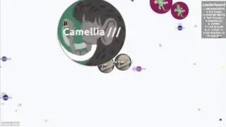 #TYTRC