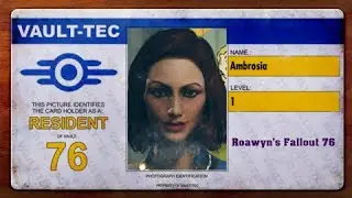 Roawyn's Min Max to Survive Fallout 76 One Wasteland Wastelanders 29 