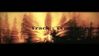 Projectiled Sunbeam - Releasing 2 new Tracks ( FL Studio 10 )