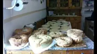 Pasqua con i post dei Torresi