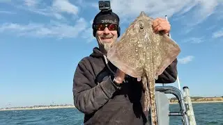 Boat Fishing Hill Head Smoothound Fishing Plaice Fishing Southcoast Southampton United Kingdom