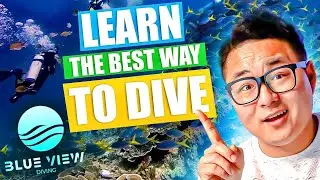 LEARN The Best Way To Dive! | Australian Scuba Diving 101 For Beginners | Blue View Diving Center