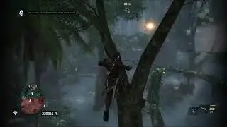 Assassin's Creed 4 Long Bay Mayan Stone Route