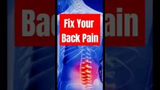 Back Pain Exercises #backpain back#physiotherapy #physioterapy #bhuvikatv #shorts