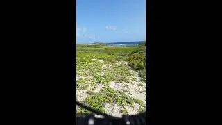 Crossing Place Trail - Middle Caicos
