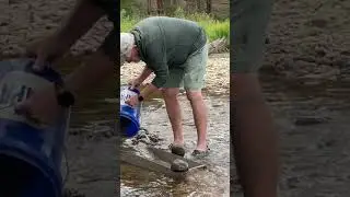 Panning for GOLD in Colorado