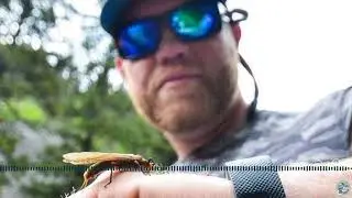 S7, Ep 98  The Fight for Our Future - Land Tawney on Grassroots Advocacy and Public Lands