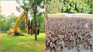 From Seed to Harvest Inside - Amazing Farming Jobs!