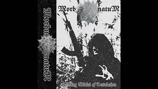 Morbusinfernatum (US) - Howling Winds of Desolation (EP) 2025
