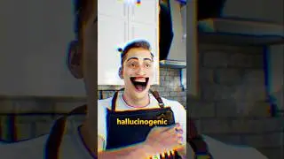 Is Nutmeg Really Hallucinogenic?