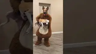 A big fat shaggy doggie brings a little dog for Tanya
