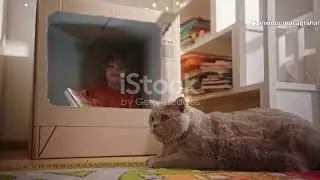 cat saves baby, hero cat, pet rescue, #CatSavesBaby #HeroCat #PetRescue #HeartwarmingStory