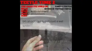 Tutant Meenage Neetle Teetles - Teetle Time 2 (Full Album)