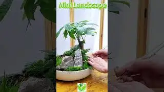 Create a Magical Mini Landscape at Home!