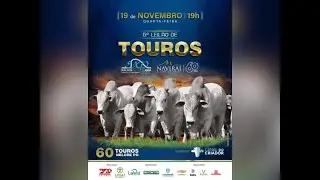 5&ordm; Leil&atilde;o Virtual de Touros - Nelore Expedito e Navira&iacute;