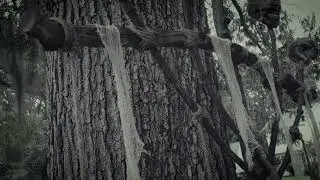 Swamp Witch Haunt 2020 Teaser.