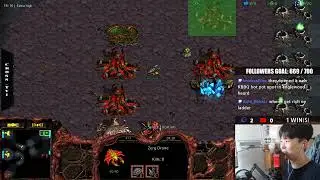 3 на 3: самый быстрый 7-инкубаторный гидралиск, руководство по зергам | Starcraft Remastered: сам...