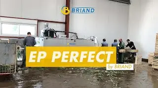 EP PERFECT : Eplucheur de poireaux par BRIAND
