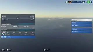 Microsoft flight simulator Online