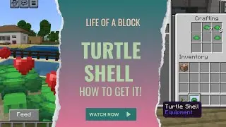 Easy Turtle Shell Farming in Minecraft! | Ultimate Turtle Shell Tutorial 🐢