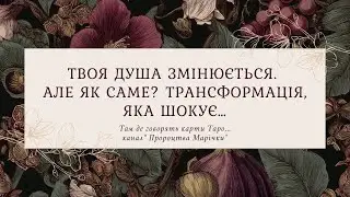 Що зараз відбувається з твоєю душею? Карти скажуть правду. @marichka_taro 