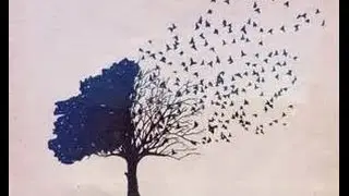 LOS PAJAROS DE MI CIELO      (E. Fernandez)