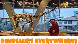 Perot Science Museum