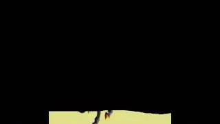 WolfTime BANDE ANNONCE