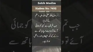 Sahih hadith | sahih muslim 7492 #shortsvideo #islamicposts #shortsyoutube #sahihhadith