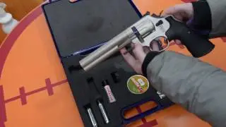 Reactive Air Pistol Target Shooting