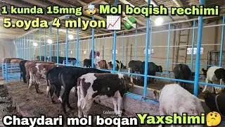🤔CHAYDARI YOKI ZOTLI QAYSI MOLDAN FOYDA YAXSHI QOLADI ✅📈