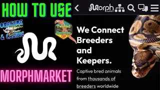 What is MORPHMARKET???