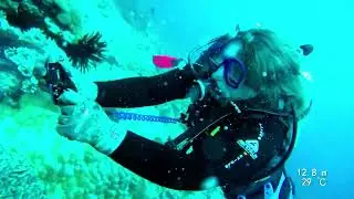 Bali 2024 Drift dive