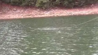 Watermen's Easter Delaware River Trout on a Dry