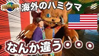 【アメリカでのハミクマがやばい‼︎】海外で人気者になっているのか？！現地調査してきた！